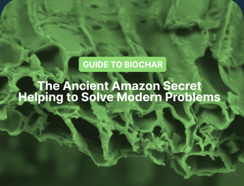 Guide to biochar – the ancient Amazon secret helping to solve modern problems